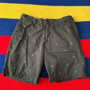 Mini Palm Trees Shorts